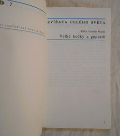 Velké kočky a gepardi - Zvířata celého světa 7 - 1980 - 2