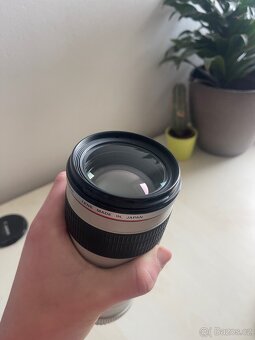 Canon EF 70-200 f/4 L USM - 2
