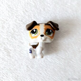 LPS Littlest Pet Shop - Jack Russells #803 #804 s doplňkem - 2