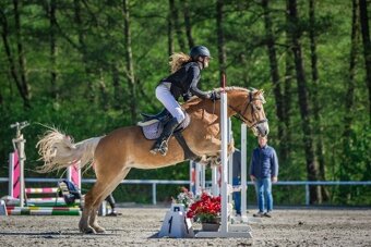 Na prodej klisna 141 cm, Pony B - 2