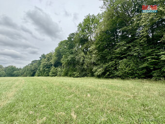Prodej lesa, 29142 m², Frýdek-Místek - 2