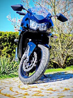 Kawasaki Ninja 250 R - 2