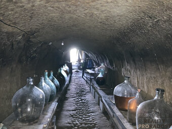 Prodej vinného sklepa ve Chvalovicích, 20 m2, Chvalovice, ok - 2