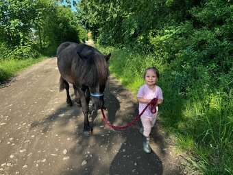 Krásná pony na prodej - 2