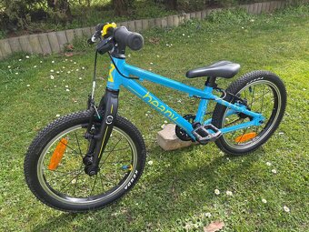 Beany Zero 16” - 2