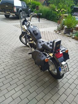 Intruder VS800GLP - 2