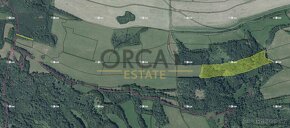Aukce 1 ha lesních pozemků v k. ú. Velká Bukovina - 2