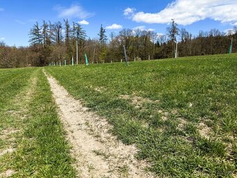 Zahrada, pozemek, Bělkovice-Lašťany 1900m2 - 2