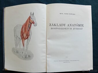 ZÁKLADY ANATOMIE HOSPODÁŘSKÝCH ZVÍŘAT - 1954 - 2