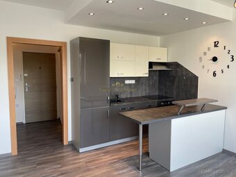 Pronájem světlého bytu 2+kk, 42 m2, komora, sklep, Na Kohout - 2