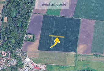 Prodej pole v k.ú. Sokolnice - 2