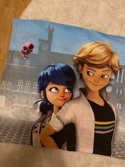 Beruška A Černý Kocour Velký Povlak Na Polštář - 2