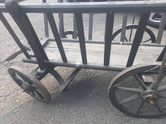 Starý řebřinak malý - 2