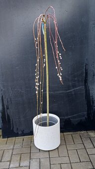 Betonový květináč - 2