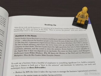 Scaling Up -  od Verne Harnishe - 2