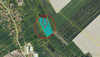 Prodej lesního pozemku k.ú. Řepníky - 2
