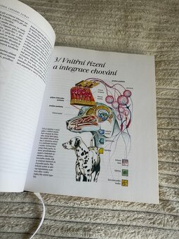 Etologie: biologie chování zvířat - 2
