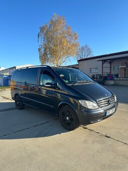 Mercedes Viano - 2