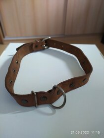 Kožený obojek pro psa, obvod 50-60 cm - 2
