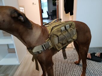 Batoh / kapsy pro psa - 2