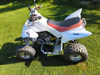 Dinli masai démon 460 - 2
