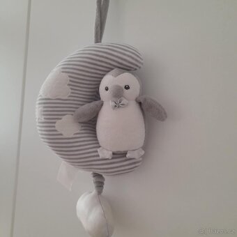 Usínáček sovička - 2