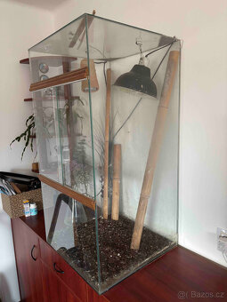 Terárium - 2