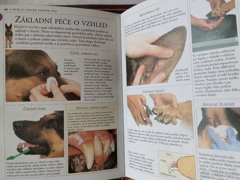 Německý ovčák / příručka - 2