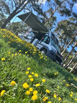 Obytné auto 2016 Ducato - 2