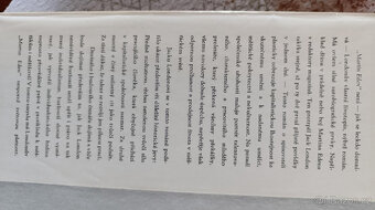 Jack London - Martin Eden - 2