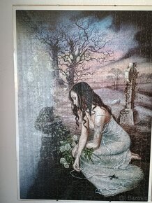 Obrazy puzzle 70x50 - 2