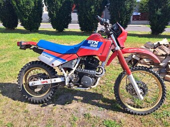Aprilia ETX 350 - 2