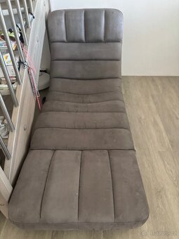 Hnědá lenoška - 2