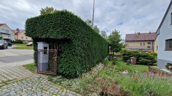 Údržba zeleně - 2