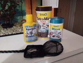 Akvárium 60 l - 2