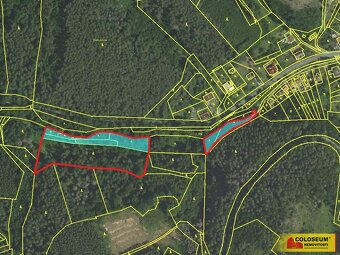 Letovice, lesní pozemky, 12 020 m² – pozemek - 2