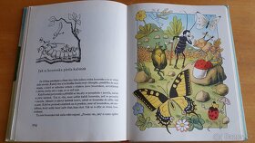 Knížka Ferdy mravence - 2