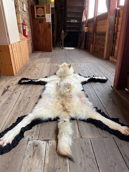 Pravá kůže z vlka - 2