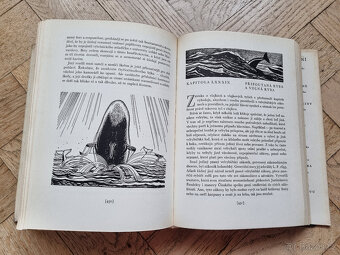 Bílá verlyba : Herman Melville - 2