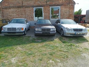 Mercedes E300D W124 - 2