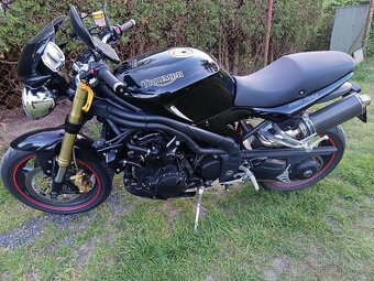 Triumph Speed Triple 1050. RV 2005 - 2