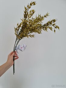 3 nové kusy dekorativní rostliny - 2