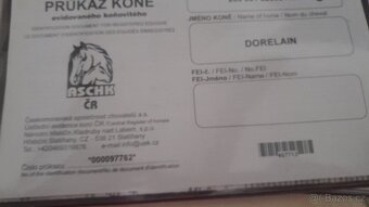 Klisny k prodeji - 2