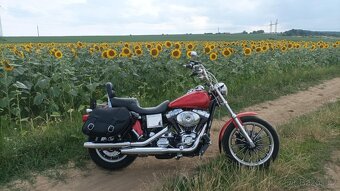 Harley Davidson Dyna Low Rider - 2