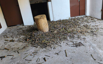 Dřevo na uzení - 2