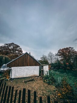 Rizikové kácení stromů - 2