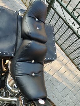 Harley Davidson softail 1600cm - 2