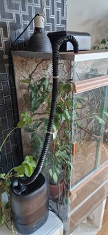 Terarium pro chov chameleona - 2