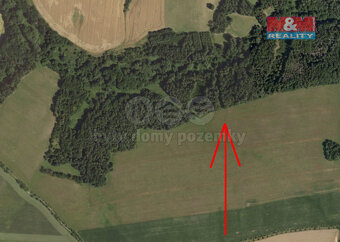 Prodej lesa, 1393 m², Lipová-Hrochov - 2