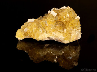 Prodej sbírky minerálů a fosílií - 2